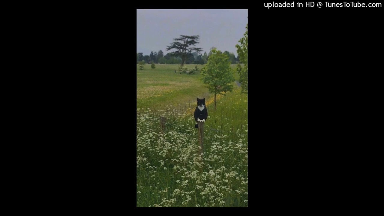 [FREE] madk1d x тёмный принц x selo x jerk type beat - 