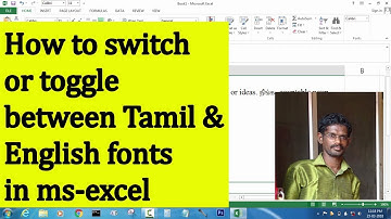 how to switch or toggle between Tamil & English fonts in msexcel