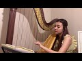 Goblin Rustle - Welker G2 Harp, Katrina Wong
