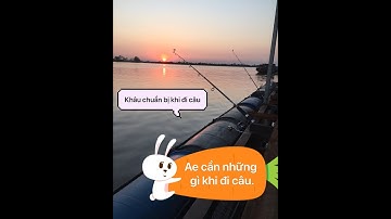Đi câu cá cần những gì