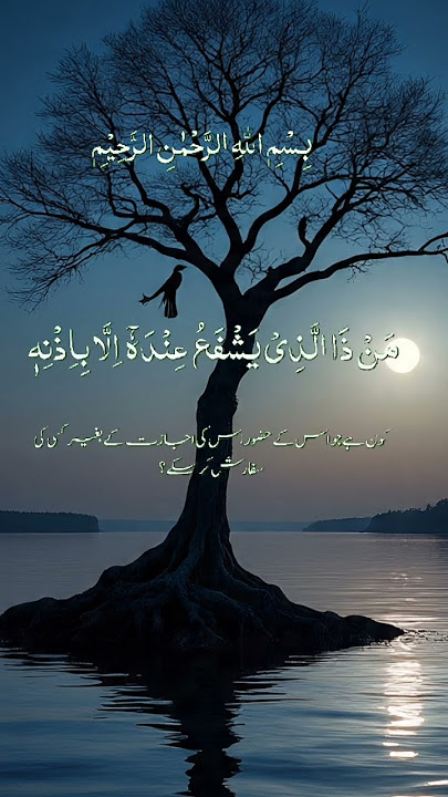 #ayatkursi#tilawatvoiceintheworld #