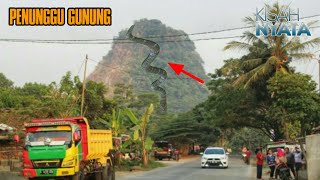 Warga Saksikan Ular Raksasa Turun Gunung Nyungcung Bogor