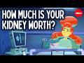 Kidney Donation System Challenges and Ethics