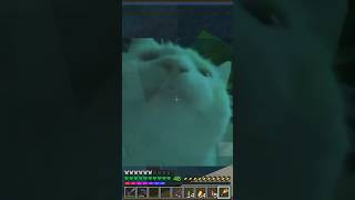 *A Minecraft Party* Spin Me Right Drowned! #minecraft #music #party