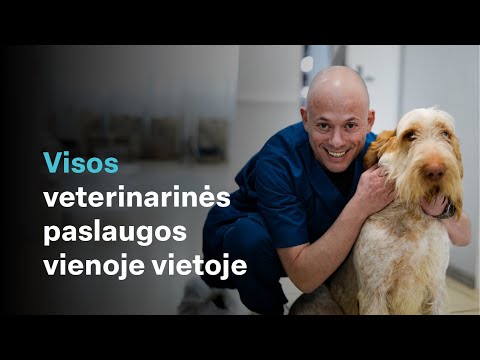 Video: 5 Priežastys šunims
