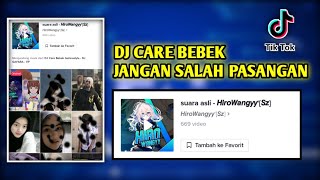 DJ CARE BEBEK X JANGAN SALAH PASANGAN - HiroWangyy