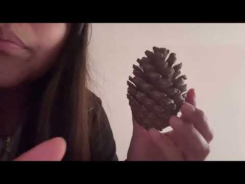 ASMR CASERO EXAMEN DE NERVIOS CRANEALES | RP MÉDICO mouth comunes, camera tapping, visuales