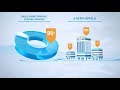 Data visualization presentation for art tour  infographics animation for travel business