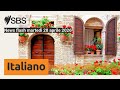 News flash martedì 28 aprile 2026 | SBS Italian - SBS in Italiano