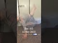 Day 103 Chloe Ting Transformation &amp; Weight Loss Challenge pt1 2023💚