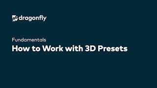 Dragonfly Fundamentals | How to Work with 3D presets