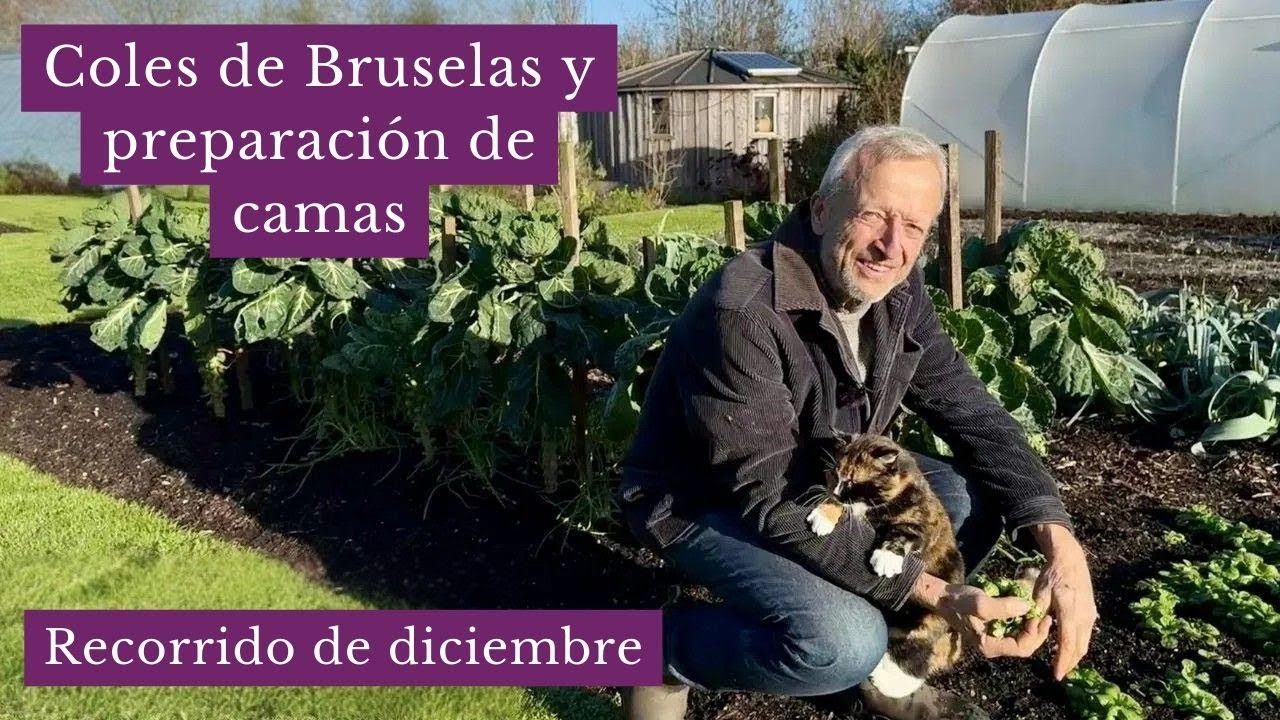 Recorrido por mi huerto en diciembre: cosecha de invierno y cultivos resistentes al frío