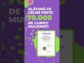 🌺Plante pentru gradina, interior si accesorii | VERDENA.RO 🌿