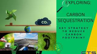 Exploring Carbon Sequestration A Key Strategy Reducing Carbon Footprint
