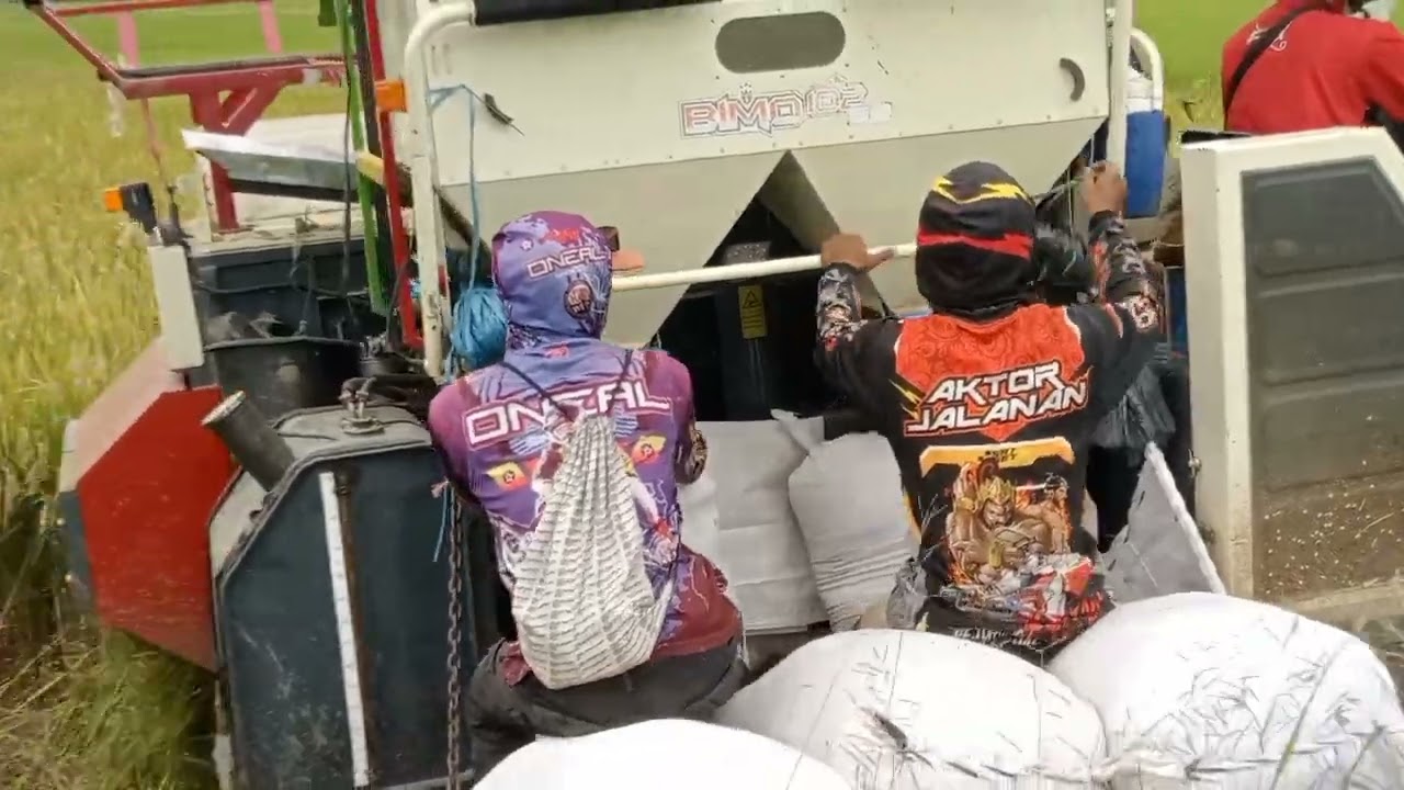 Alhamdulillah Yaa Allah #panen #padi #syukur #bahagia #alhamdulillah #mesin #beras #alam #indonesia