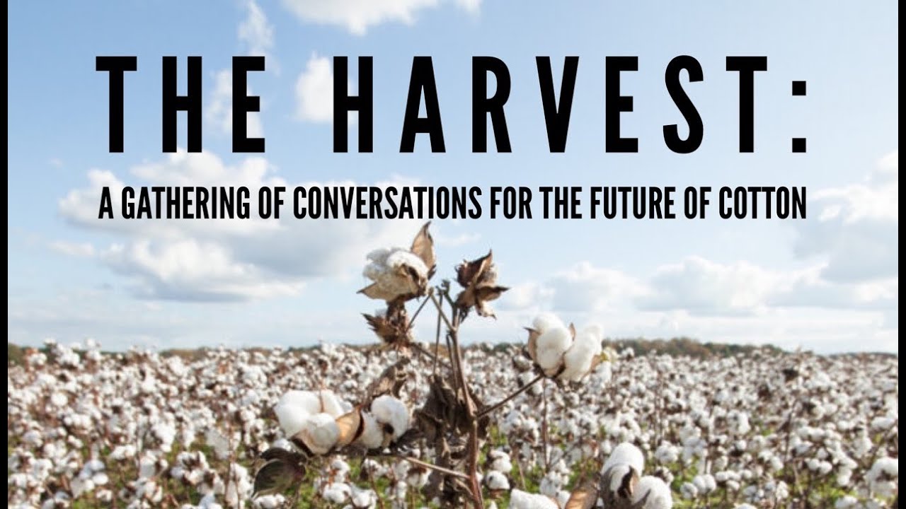 The Harvest #1: A Conversation with Cotton Farmer Andrew Burleson