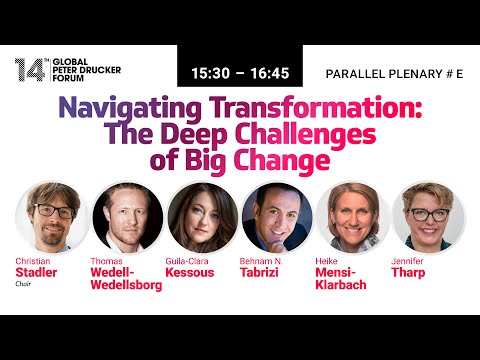 #E  NAVIGATING TRANSFORMATION  THE DEEP CHALLENGES OF BIG CHANGE