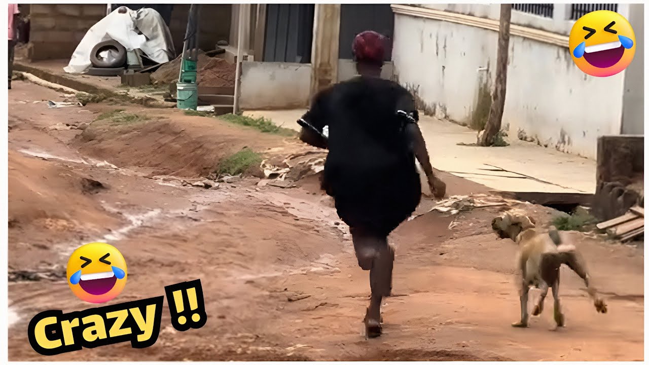 أطرف مقاطع الشهر #142 - حياة أشخاص مضحكة حاول ألا تضحك 😂🤣🔥