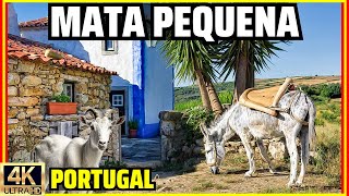 Алдея да Мата Пекена: крошечная сельская деревня в Португалии.