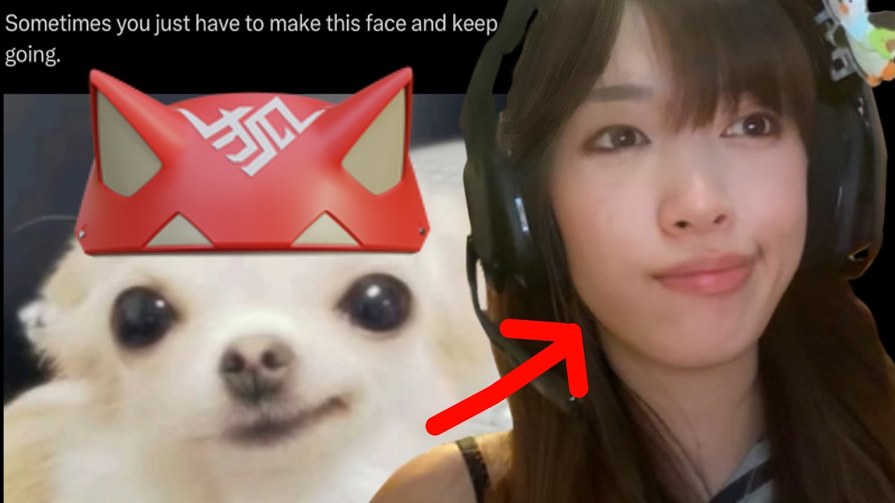 Чудстер доминирует в сфере влияния Overwatchmaxxing.