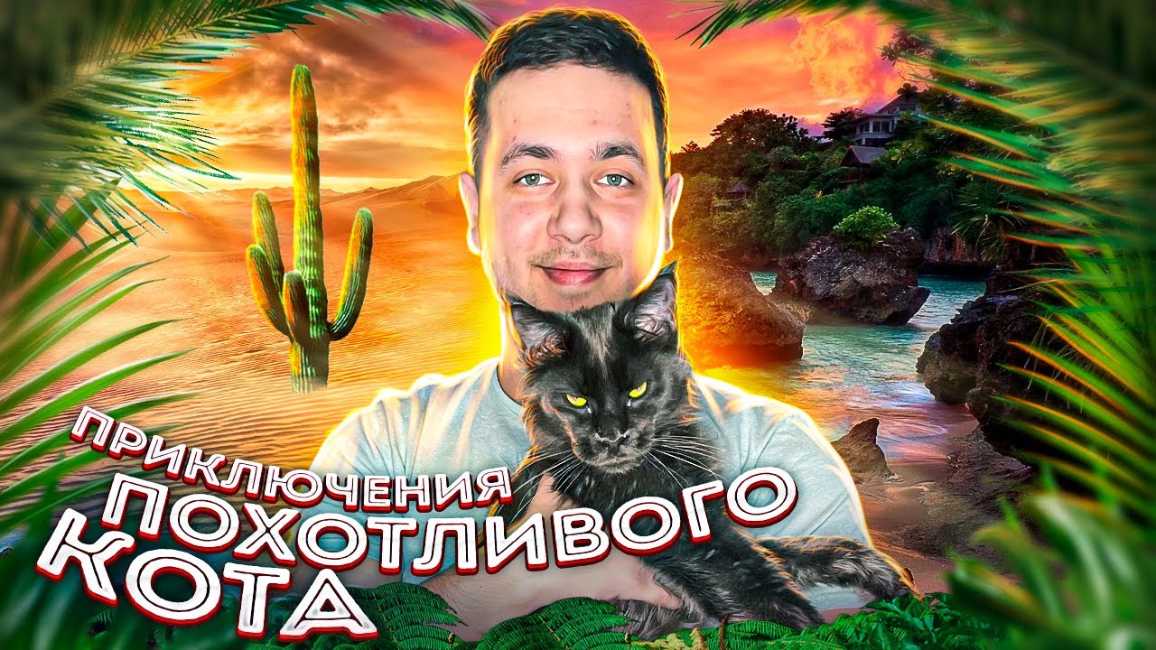 Хонда кун 2 сезон