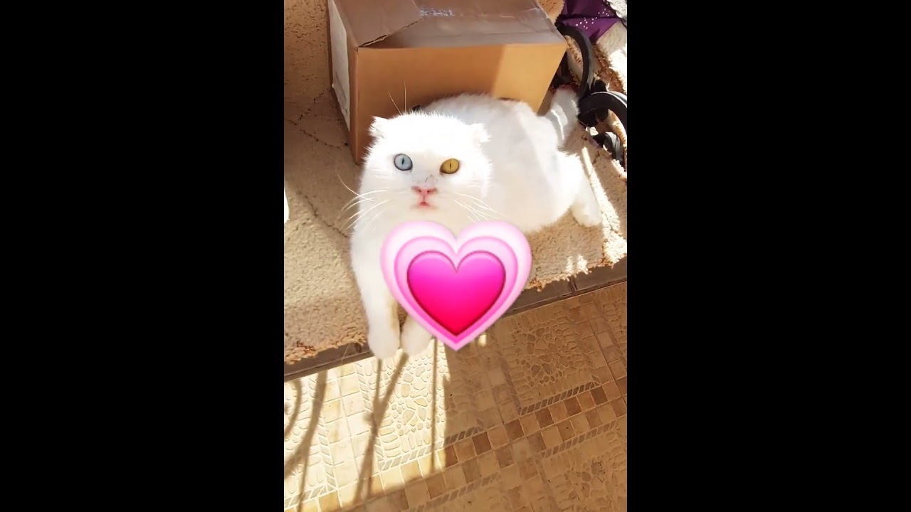 Мудрые слова! Наша жизнь! Омар Хайям! 👍👍👍