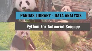 Python for Actuaries - Lesson 6 -  [Pandas Library for data analysis] Profile