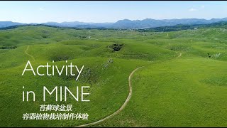 Activity In Mine 苔藓球盆景 器皿植物栽培 苔玉 テラリウム Youtube