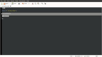 PHP Basics: Variables
