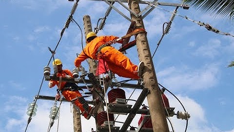 Tra cứu hóa dơn tiền điện quynh phu thai binh năm 2024