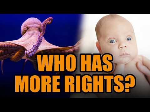 Pro-life debater compares humans to Octopi