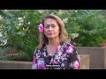 Ohana Apply for Disaster Assistance PSA