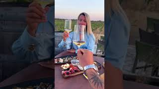 Wine Testing At barakawinery At sibenik In croatia  travel travelvlog travelblogger wine