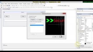 Como criar um Flood pelo Visual Basic 8