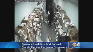 SEE IT: Burglars Break Into & Ransack Florida Medical Marijuana Dispensary