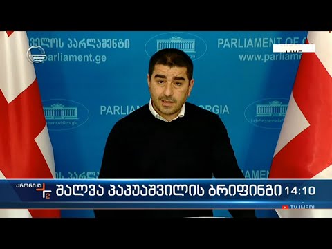 შალვა პაპუაშვილის ბრიფინგი