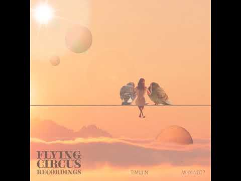 Timujin - Katana (Flying Circus Recordings)