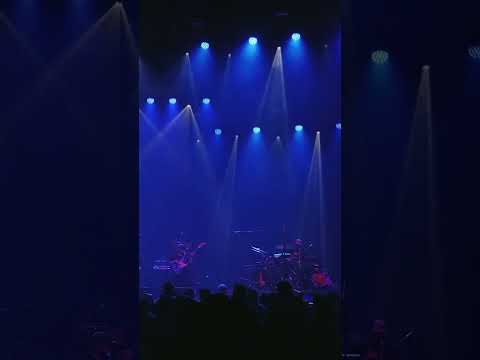 “Rising to the Top” live from the new album 🥬 Catch us on the Cook Tour this summer