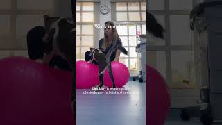 Paralyzed cat physiotherapy work out #vetphysio #shorts #vet #animals #paralyzedcat #cats