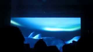 DASHA RUSH Antarctic Takt Snippet Mutek Montréal 5.28.2015