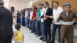 Hozan Tacettin , New Davat - Yüksekova Düğnleri [© ]
