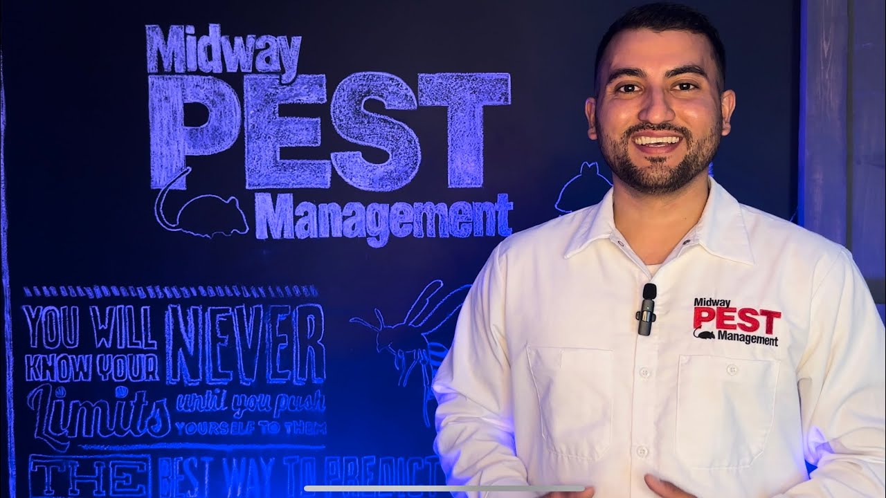 Bat Removal Kansas City | Midway Pest Management 