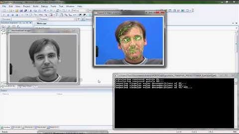 3D Head Tracking using CCA (OpenCV, OpenGL) + Raw eye gaze 0.1