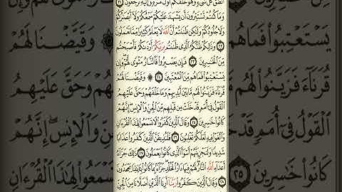 @آيات مباركة من سورة (فصلت) اخي الفاضل تفكر بها من الآية الكريمة (٢٠-٢٩)