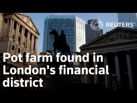 Pot farm found in London&#039;s financial district