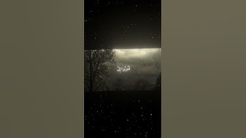 سورة البقرة|54|القارئ:#محمد_اللحيدان #قران #quran #راحة_نفسية #قران_كريم #تلاوة_هادئة #تلاوة_خاشعة