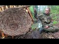 Making a Basket from BIRCH TREE