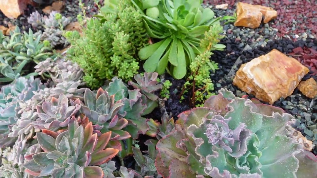 #34 비가 지나갔습니다