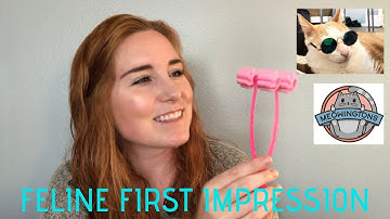 MEOWINGTONS.COM | FELINE FIRST IMPRESSION | MINI HAUL