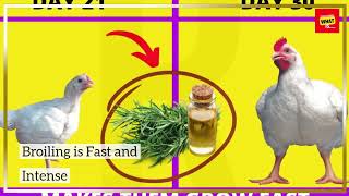 What are the differences between grilling, roasting, and broiling